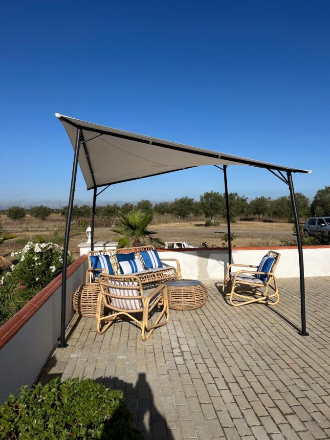 Quinta Da Amoreira Ferreira Do Alentejo Exteriér fotografie