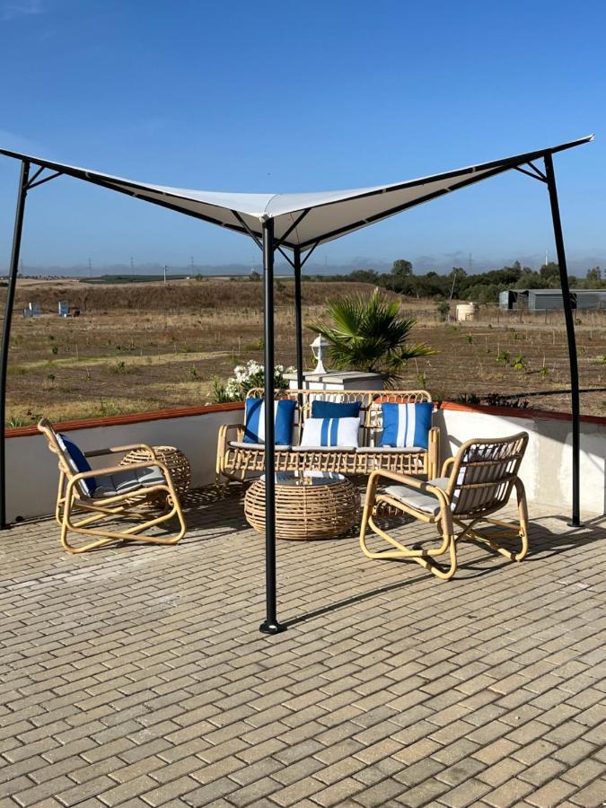 Quinta Da Amoreira Ferreira Do Alentejo Exteriér fotografie