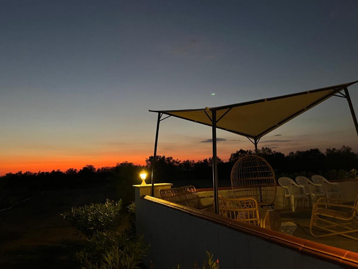 Quinta Da Amoreira Ferreira Do Alentejo Exteriér fotografie